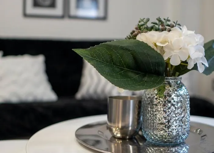 Innocence Sajam 诺威萨